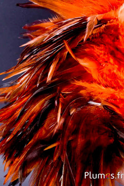 Frangia gallo - lungo. piume 10-15 cm - caffè